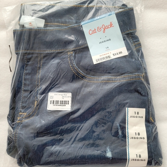 NWT Girls Cat and Jack Jeggings Sz 18 Plus - Picture 15 of 16